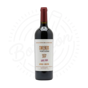 COMIENZOS VIRTUDES X750CC