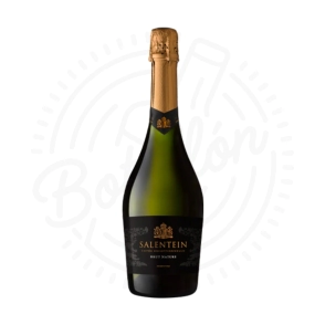 SALENTEIN BRUT NATURE X750CC